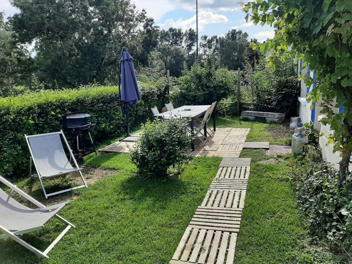 Le Logis Du Heron Coulon Ngoại thất bức ảnh